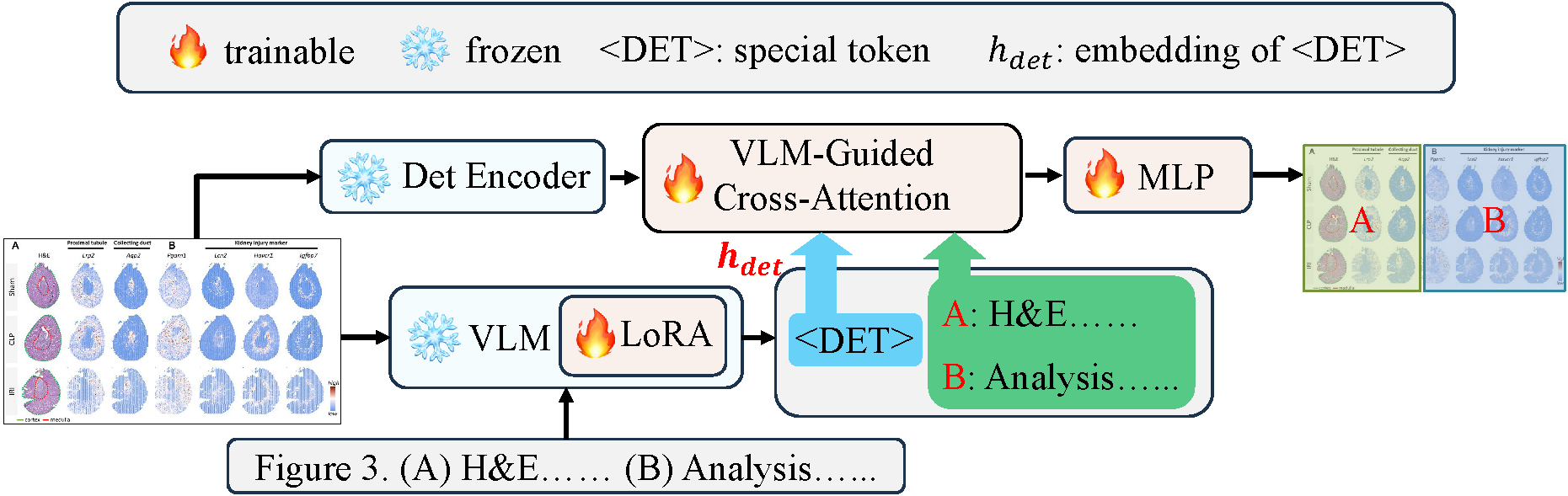 FigEx